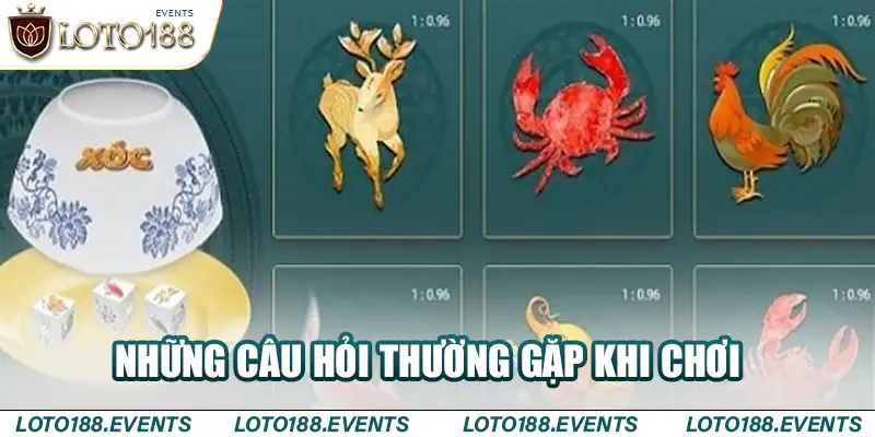 Những câu hỏi thường gặp khi chơi Tôm cua bầu cá Loto188